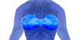 [Female Chest]