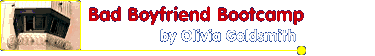 Bad Boyfriend Bootcamp by Olivia Goldsmith